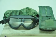 Frontal view