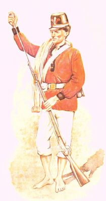 Paraguayan Infantry Uniform Mid 19th Century Equipment Wiki Fandom   210