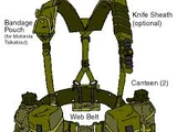 All-Purpose Lightweight Individual Carrying Equipment