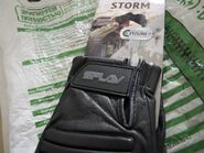 P4191540.jpg (172 KB) Tag