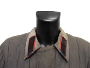 Collars with tabs