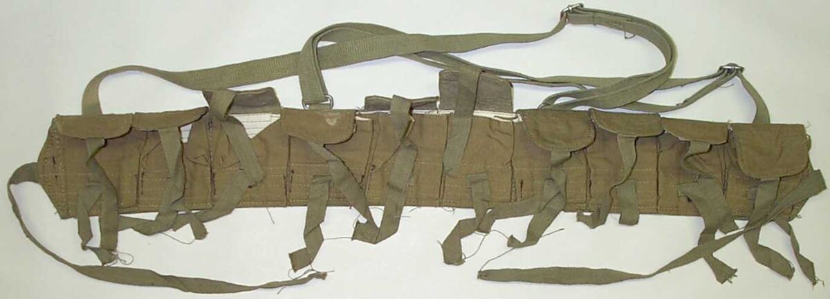 Chicom Chest Rig Equipment Wiki Fandom