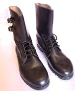 M77 cizme.jpg (170 KB) Frontal view