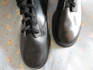 Mcnamara first pattern 5.jpg (326 KB) Top view