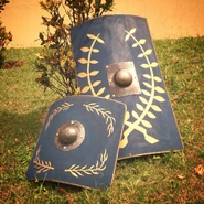 Modern reconstruction square parmula and scutum[6]