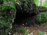 Forest/Hidden Cave/Entrance