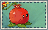 Pomegranate-pult