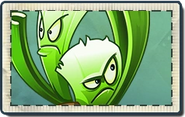 Celery Stalker