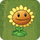 Sunflower2