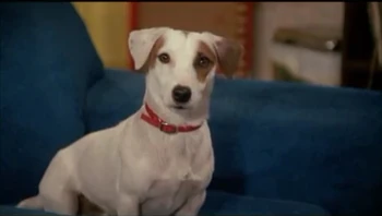 Rimshot | Ernest P. Worrell Wiki | Fandom