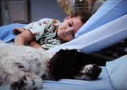 MakeofTwoHearts3.jpg (182 KB)