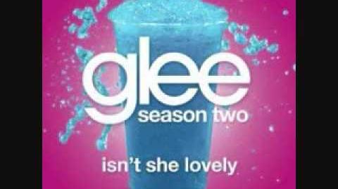 Isn't_She_Lovely_-_Glee_(Audio)