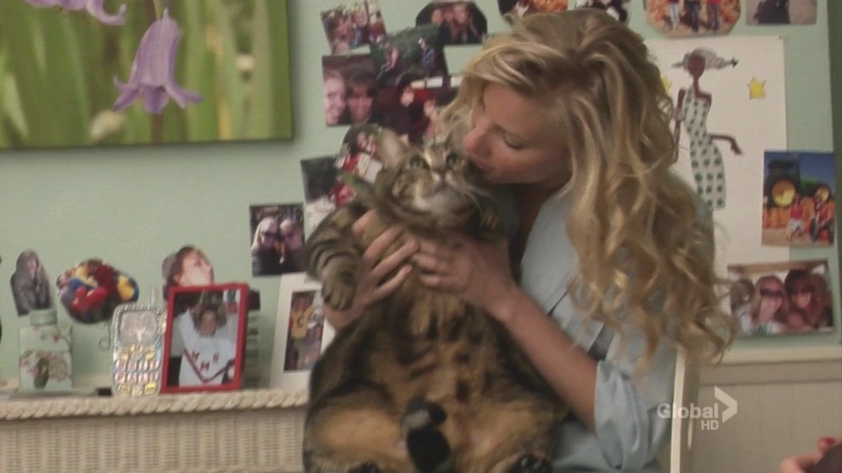 Fondue For Two Wiki Glee Fandom