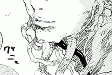 星白 閑ページ 星白閑 | シドニアの騎士 Wiki | Fandom