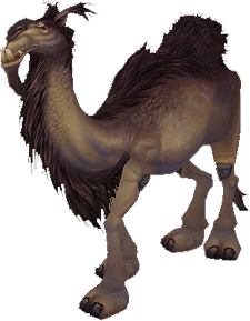 Camel.png