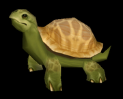 SpeedyTurtle