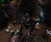 Searinox.jpg