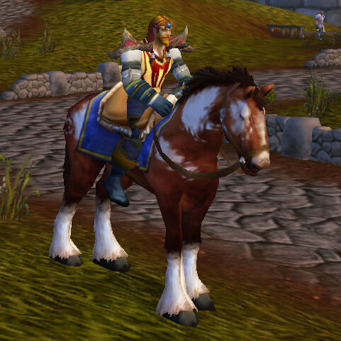 Pinto Bridle.jpg