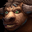 Tauren