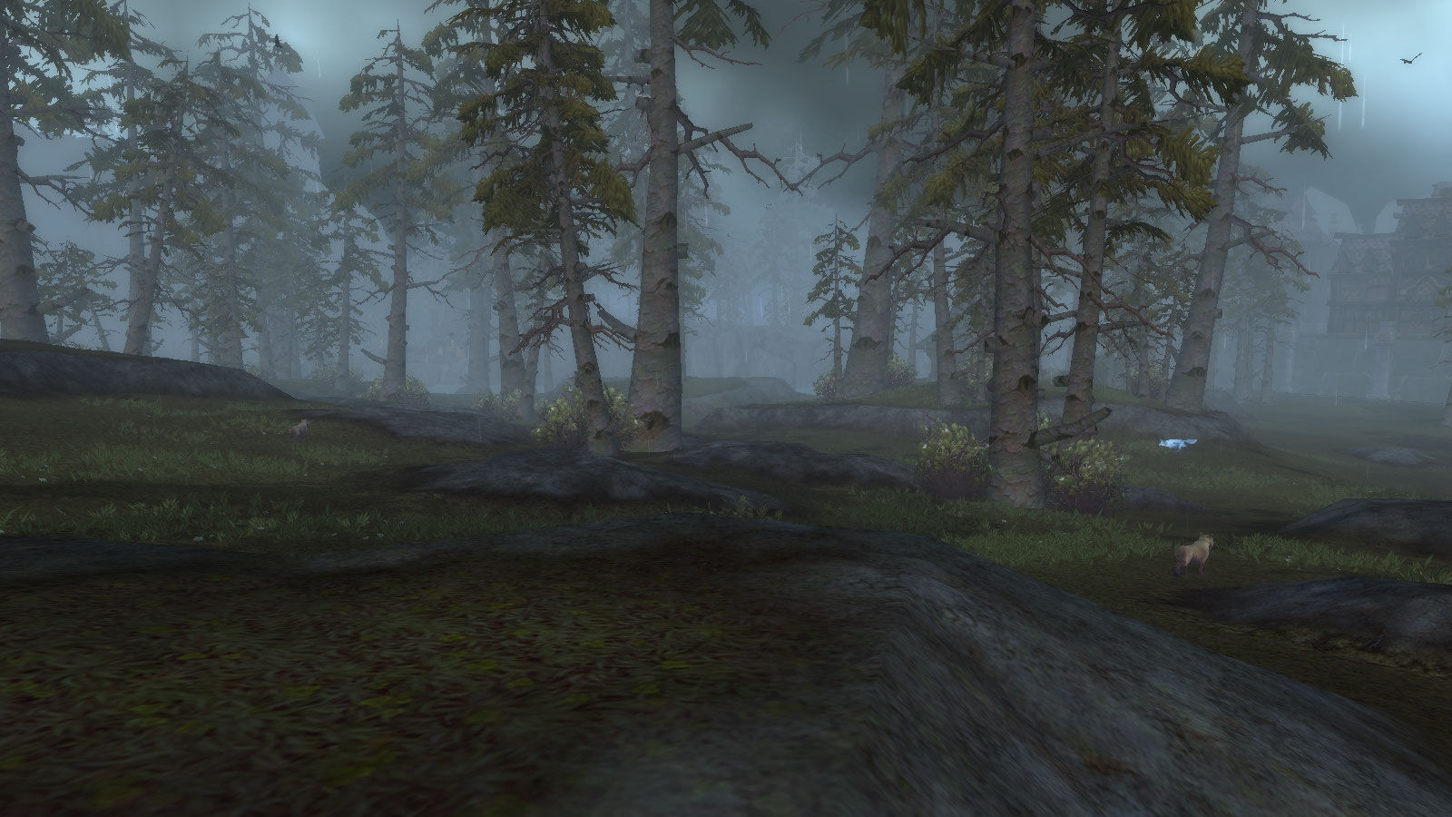 Northgate Woods.jpg