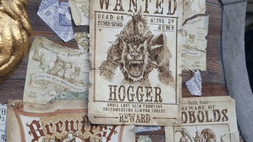Hogger poster