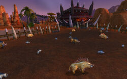 Jaggedswine Farm Cataclysm