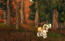 Stonetalon wildlife.jpg