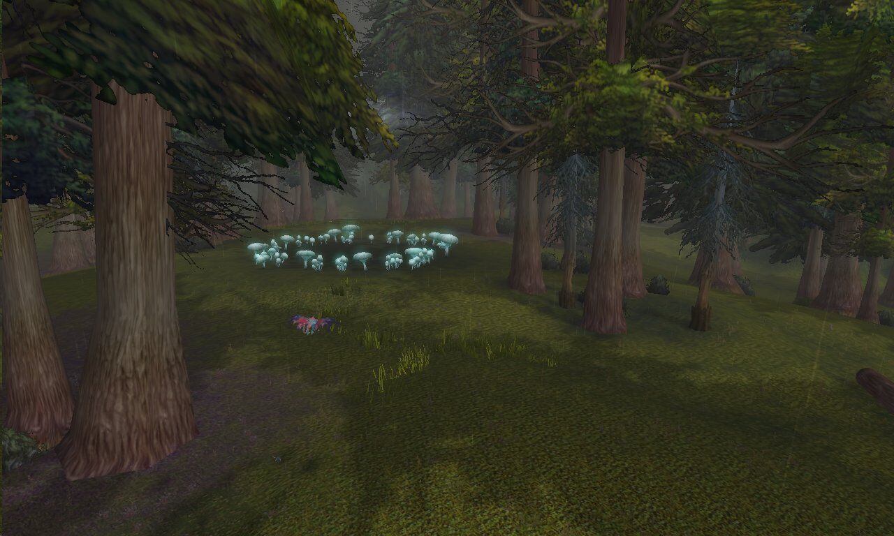 Whispering Forest.jpg