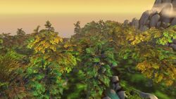 Pei-Wu Forest.jpg