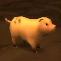 Un cerdo en World of Warcraft.