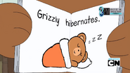 Hibernation 047