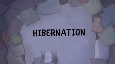 Hibernation-0