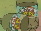 Eucalyptus Pop!