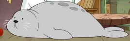 Foca Escandalososnewfoto