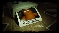 Intermediate Photography