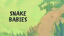 Snake Babies