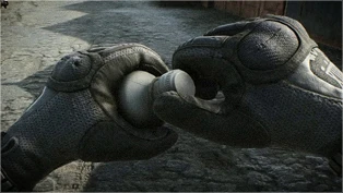 The survivalist path Combat medic Banner