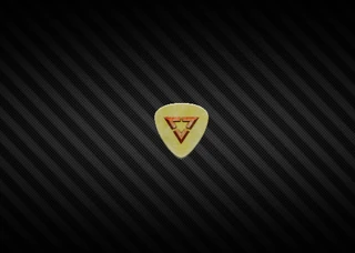 VeritasGuitarPick