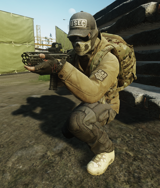 Rogues - The Official Escape from Tarkov Wiki