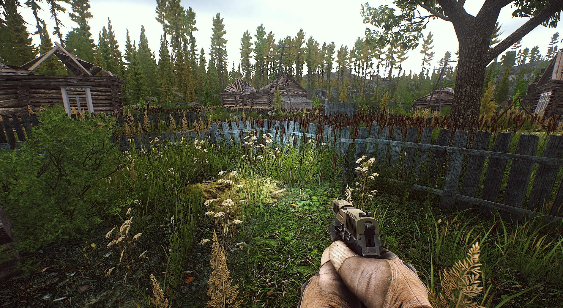 Shoreline Escape From Tarkov Wiki