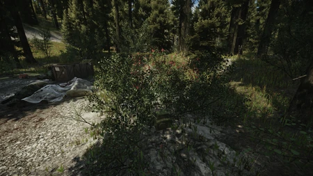 Spawn 4 in the bushes towards the lake