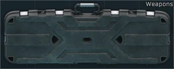 Weapon case icon