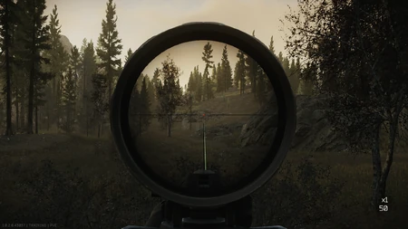 1x reticle in use