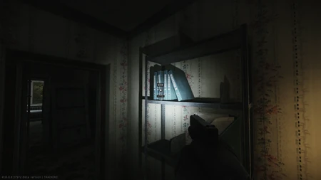 On the shelving of dorm room 220