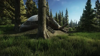 Woods Showcase 12.png