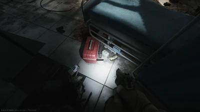 First spawn under the bed