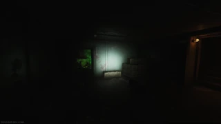 Woods Showcase 5.png