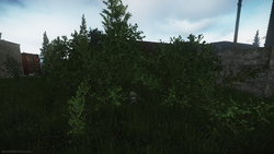 The Extortionist The Official Escape From Tarkov Wiki The Extortionist The Official Escape From Tarkov Wiki