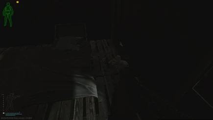 Bronze Lion USEC Camp - Woods