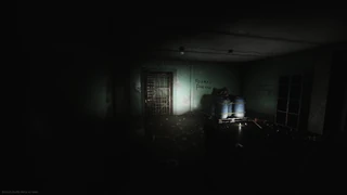 Woods Showcase 6.png